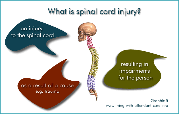 Graphic 5:
What is spinal cord injury?