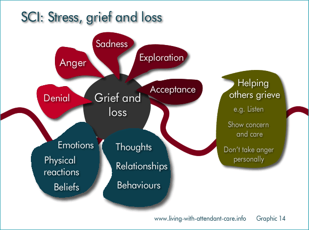 Cgraphic 14: 
SCI: Stress, grief and loss